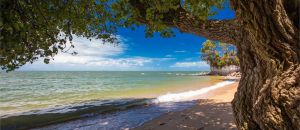 Childcare Listing Partner Whitsundays Tourism